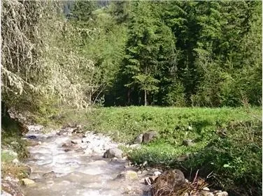 Afererbach (Foto: Landesagentur für Umwelt und Klimaschutz)