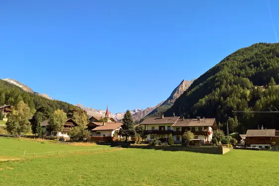 Fotogalerie Pollenfalle Prettau