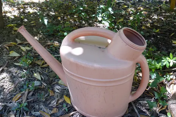 Gli annaffiatoi non vanno lasciati all’aperto con apertura verso l’alto, ma verso il basso. In questo modo non conteranno acqua. (Foto: Agenzia provinciale per l'ambiente e la tutela del clima)