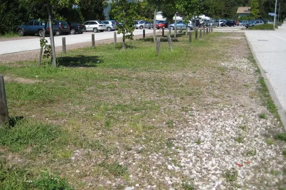 Versickerung durch eine wasserdurchlässig
befestigte Fläche