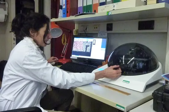 Radonanalyse, zweite Phase: Zählung der Kernspuren, die durch den Alpha-Zerfall der Radonatome auf den Detektoren „CR39“ erzeugt werden
(Foto: Landesagentur für Umwelt und Klimaschutz)