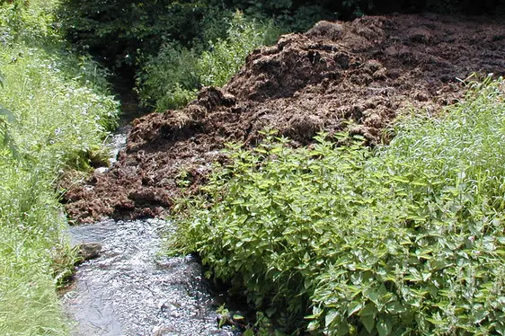 Lagerung von Mist im Oberflächengewässer (Foto: Landesagentur für Umwelt und Klimaschutz)