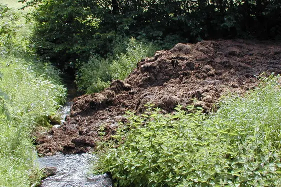 Lagerung von Mist im Oberflächengewässer (Foto: Landesagentur für Umwelt und Klimaschutz)
