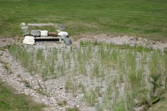 Versickerungsmulde neben Teichanlage