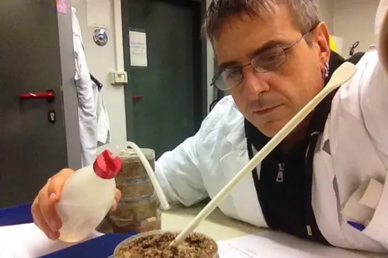 Radioaktivität: Vorbereitung einer Probe für die gammaspektrometrische Analyse (Foto: Landesagentur für Umwelt und Klimaschutz)