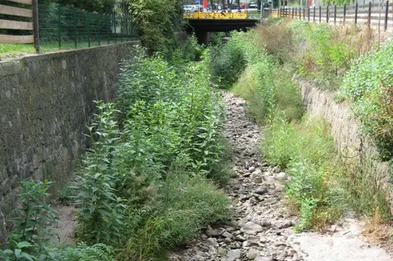 Trockenes Bachbett (Foto: Landesagentur für Umwelt und Klimaschutz)