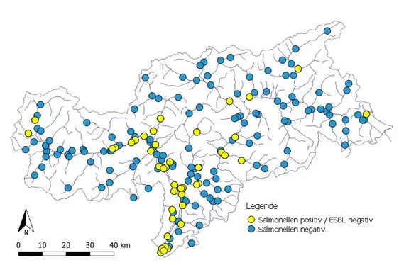 L’antibiotico resistenza in batteri ambientali