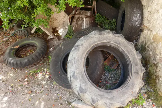 Altreifen dürfen nicht unter freiem Himmel gelagert werden. Der Import von Altreifen und ihre Lagerung im Freien trugen wesentlich zur raschen Verbreitung der Tigermücke bei. (Foto: Landesagentur für Umwelt und Klimaschutz)