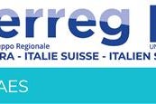Logo des europäischen QAES-Projekts, welches vom Kooperationsprogramm Interreg Italien - Schweiz 2014-2020 kofinanziert wird