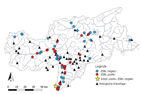 L’antibiotico resistenza in batteri ambientali