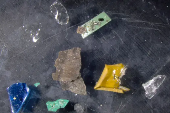 Monitoraggio microplastica - progetto pilota