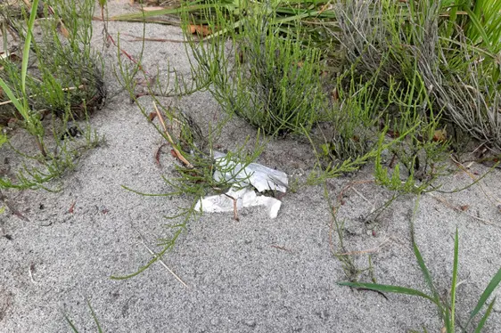 Monitoraggio microplastica - progetto pilota