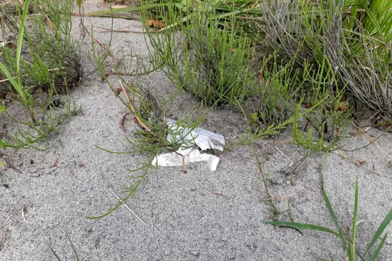 Erhebung Mikroplastik - Pilotprojekt