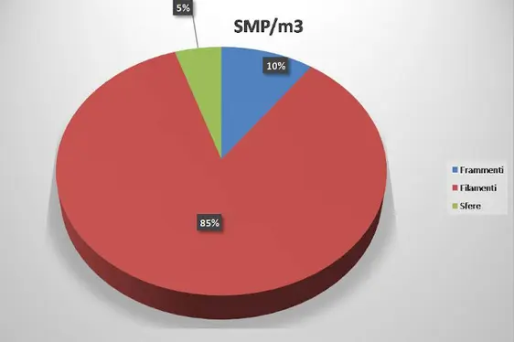 Erhebung Mikroplastik - Pilotprojekt