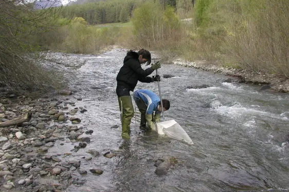 Makrozoobenthos - Beprobung des Makrozoobenthos (Foto: Landesagentur für Umwelt und Klimaschutz)