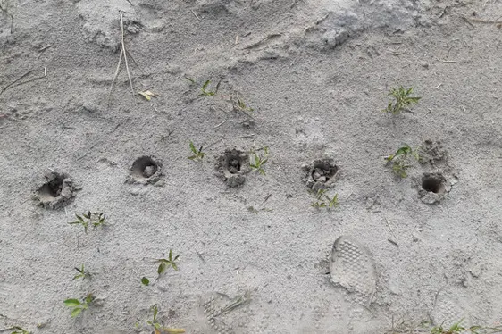 Erhebung Mikroplastik - Pilotprojekt