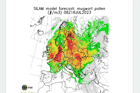 Prognosekarten Europa (Foto: Landesagentur für Umwelt und Klimaschutz)