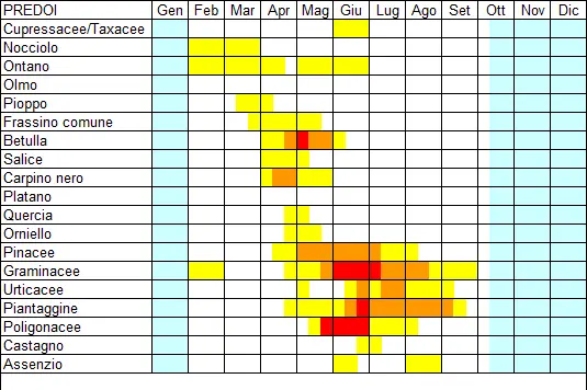 Calendario pollinico Predoi (2003-2004, 2019-2021) (fonte: Agenzia provinciale per l’ambiente e la tutela del clima)