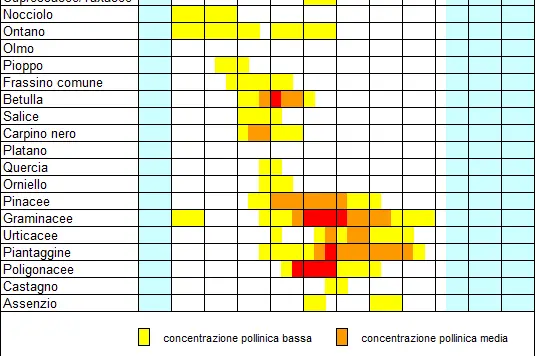 Calendario pollinico Predoi (2003-2004, 2019-2021) (fonte: Agenzia provinciale per l’ambiente e la tutela del clima)