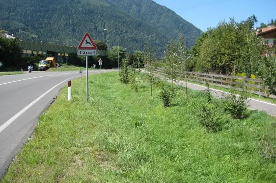 Muldenversickerung
entlang der Brennerstraße
in Vahrn