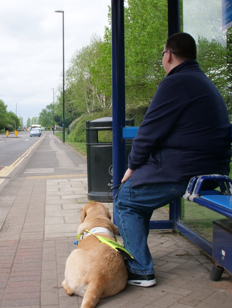 A young man and his guide dog sit at a bus stop