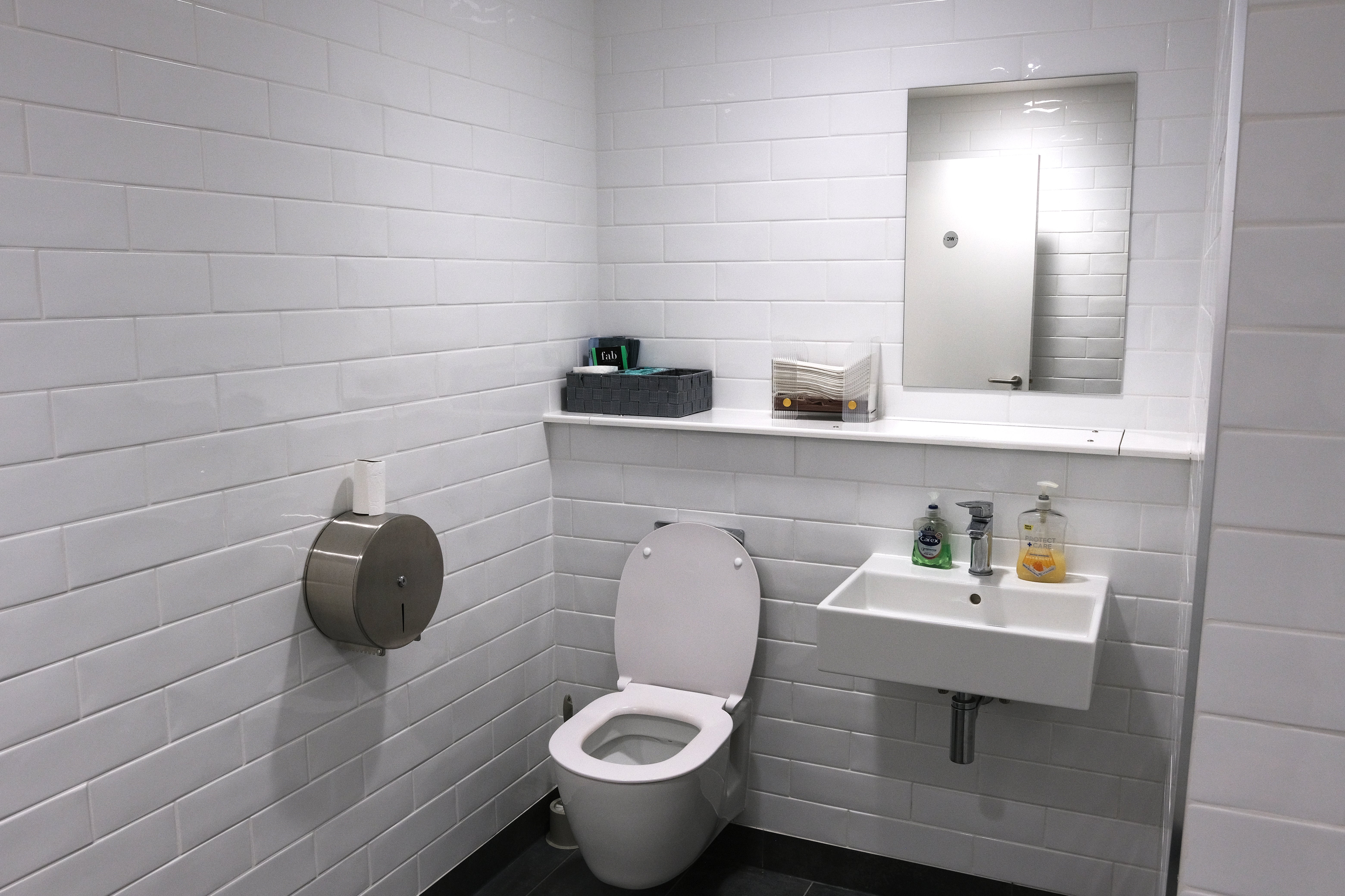 The ambulatory toilet with a WC, a sink and a mirror.