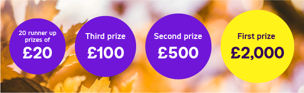 20 runner up prizes of £20
Third prize £100
Second prize £500
First prize £2,000