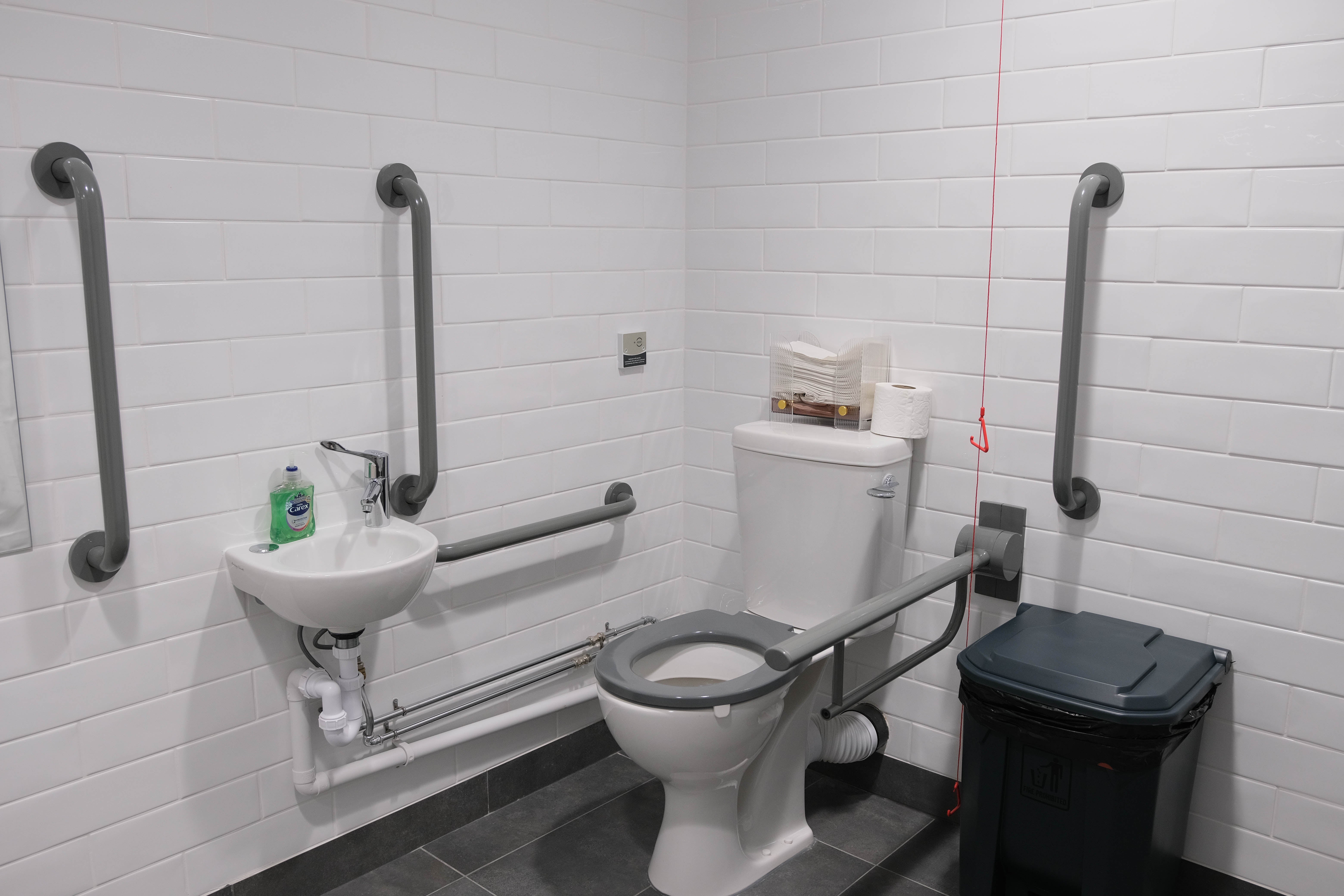 The accessible toilet.