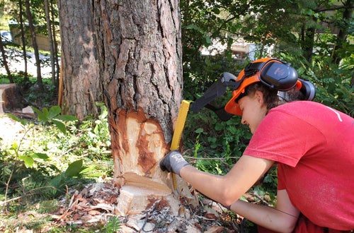 Waldarbeiterkurs an der FS Salern Waldarbeiterkurs an der FS Salern