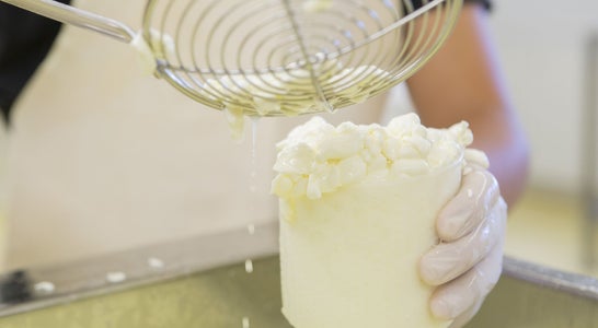 Milchverarbeitung an der FS Salern Milchverarbeitung an der FS Salern