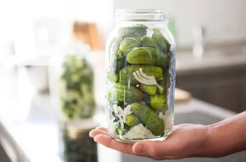 Salerner Gurken Salerner Gurken