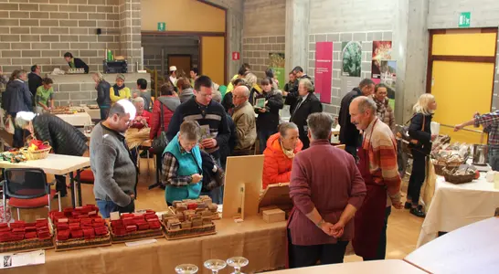 Ausstellungen und Tagungen