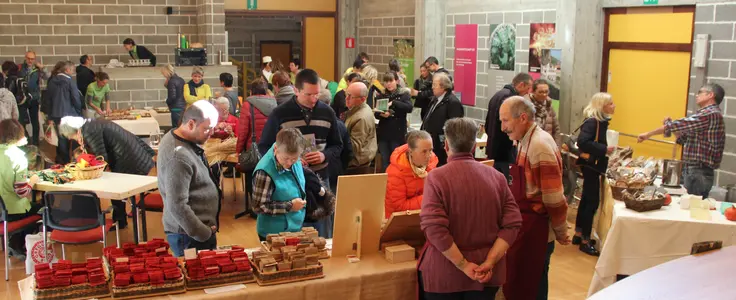 Tagungen an der FS Salern Tagungen an der FS Salern