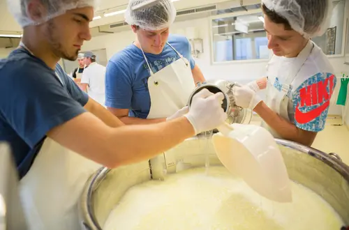 Milchverarbeitung in der Salerner Schulsennerei Milchverarbeitung in der Salerner Schulsennerei