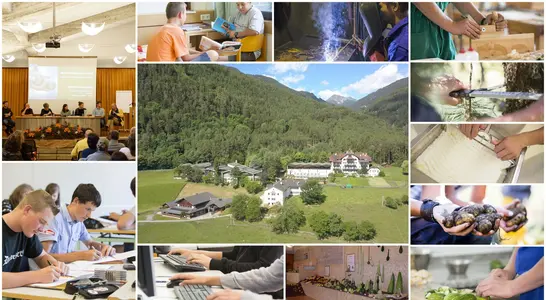 Das alles ist Salern! Das alles ist Salern!