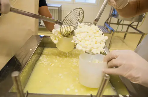 Milchverarbeitung an der FS Salern Milchverarbeitung an der FS Salern