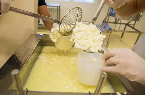 Milchverarbeitung an der FS Salern Milchverarbeitung an der FS Salern