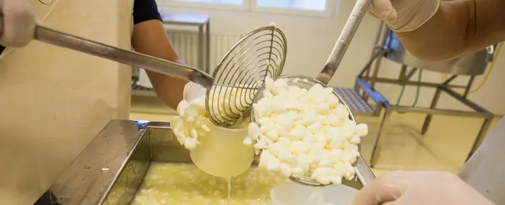 Milchverarbeitung an der FS Salern Milchverarbeitung an der FS Salern