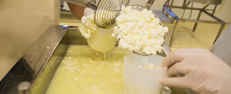 Milchverarbeitung an der FS Salern Milchverarbeitung an der FS Salern