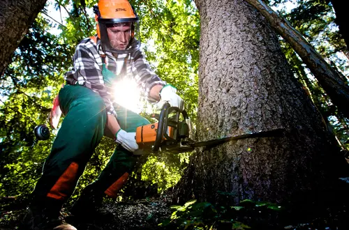 Waldarbeiterkurs an der FS Salern Waldarbeiterkurs an der FS Salern
