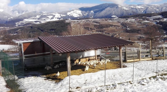 Mobiler Hühnerstall an der FS Salern Mobiler Hühnerstall an der FS Salern