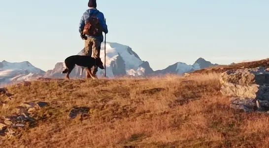 Ausbildung zur Hirtin/zum Hirten Ausbildung zur Hirtin/zum Hirten