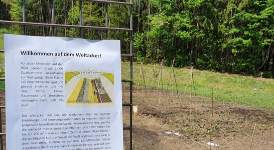 Infotafel zum Weltacker in Salern Infotafel zum Weltacker in Salern
