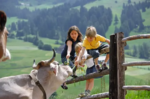 Urlaub am Bauernhof Urlaub am Bauernhof