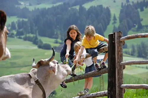 Urlaub am Bauernhof Urlaub am Bauernhof