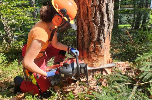 Waldarbeiterkurs an der FS Salern Waldarbeiterkurs an der FS Salern