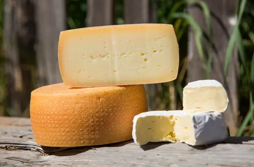 Käsesorten an der FS Salern Käsesorten an der FS Salern