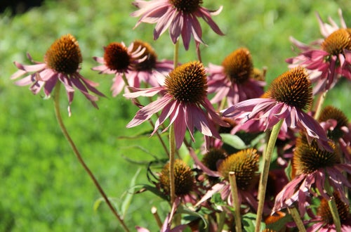 Outdoortag 2020 an der FS Salern Outdoortag 2020 an der FS Salern