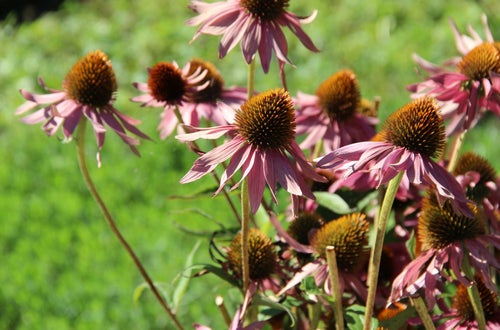 Outdoortag 2020 an der FS Salern Outdoortag 2020 an der FS Salern