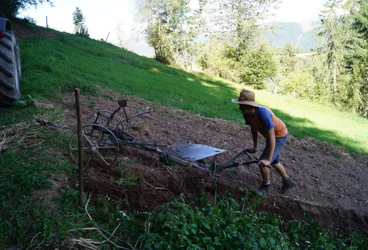 Michael Pfeifer - Testimonial der FS Salern Michael Pfeifer - Testimonial der FS Salern